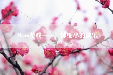 Micro游戏——一抹细小的快乐