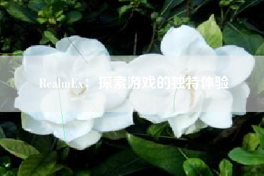 RealmEx：探索游戏的独特体验