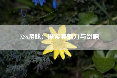 XSS游戏：探索其魅力与影响