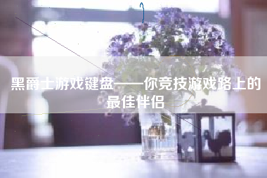 黑爵士游戏键盘——你竞技游戏路上的最佳伴侣