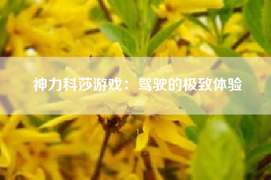 神力科莎游戏：驾驶的极致体验