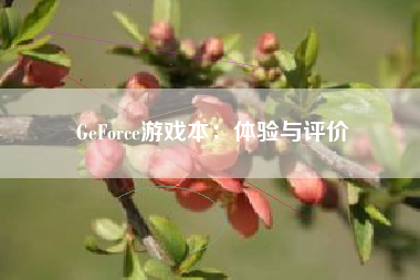 GeForce游戏本：体验与评价