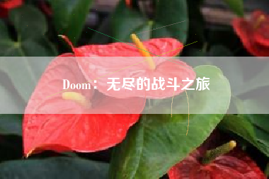 Doom：无尽的战斗之旅