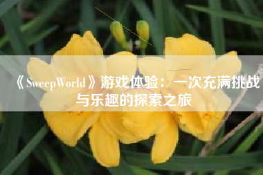 《SweepWorld》游戏体验：一次充满挑战与乐趣的探索之旅