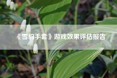 《雪豹手套》游戏效果评估报告