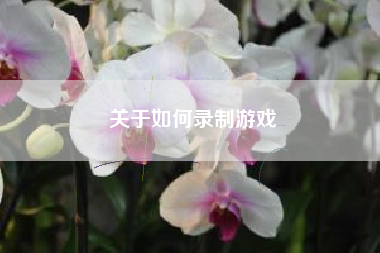 关于如何录制游戏