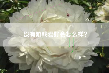 没有游戏爱好会怎么样？