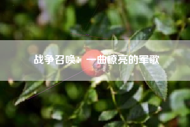 战争召唤：一曲嘹亮的军歌