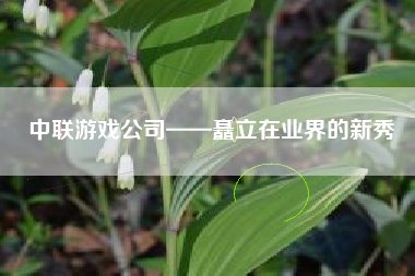 中联游戏公司——矗立在业界的新秀