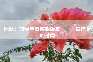 标题：如何查看游戏版本——一篇详尽的指南