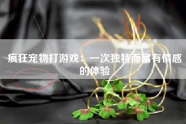 疯狂宠物打游戏：一次独特而富有情感的体验