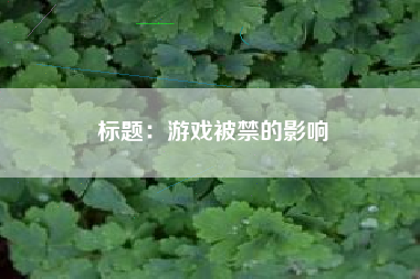 标题：游戏被禁的影响