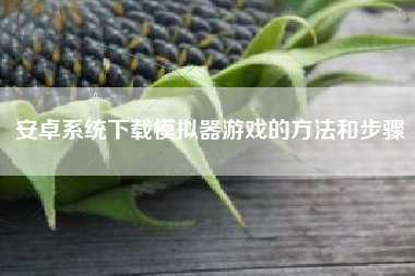 安卓系统下载模拟器游戏的方法和步骤