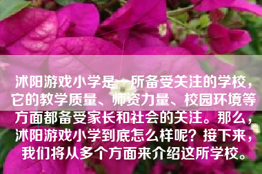 沭阳游戏小学是一所备受关注的学校，它的教学质量、师资力量、校园环境等方面都备受家长和社会的关注。那么，沭阳游戏小学到底怎么样呢？接下来，我们将从多个方面来介绍这所学校。