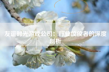 友谊时光游戏公司：行业佼佼者的深度剖析