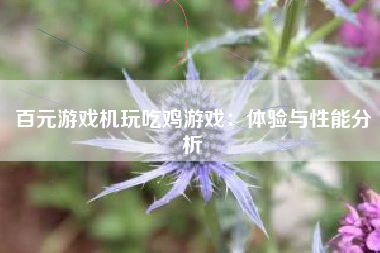 百元游戏机玩吃鸡游戏：体验与性能分析