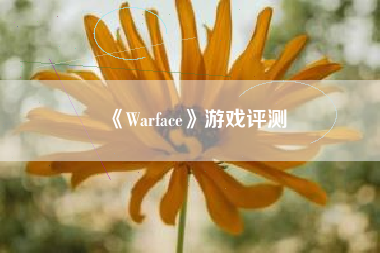 《Warface》游戏评测