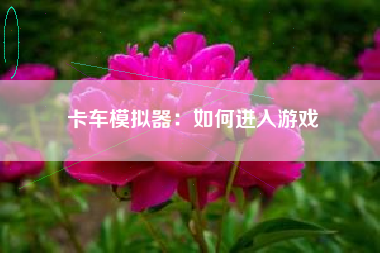 卡车模拟器：如何进入游戏