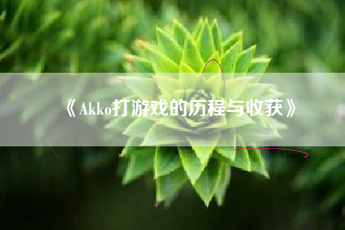 《Akko打游戏的历程与收获》