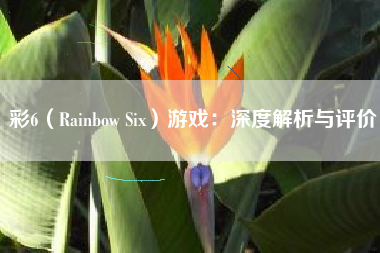 彩6（Rainbow Six）游戏：深度解析与评价