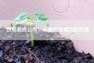 烈焰游戏公司：从崛起至成功的历程