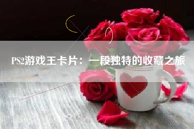 PS2游戏王卡片：一段独特的收藏之旅