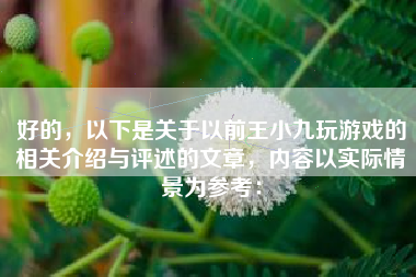 好的，以下是关于以前王小九玩游戏的相关介绍与评述的文章，内容以实际情景为参考：