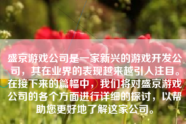 盛京游戏公司是一家新兴的游戏开发公司，其在业界的表现越来越引人注目。在接下来的篇幅中，我们将对盛京游戏公司的各个方面进行详细的探讨，以帮助您更好地了解这家公司。