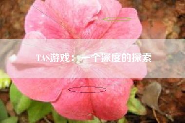 TAS游戏：一个深度的探索