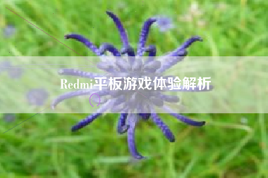 Redmi平板游戏体验解析