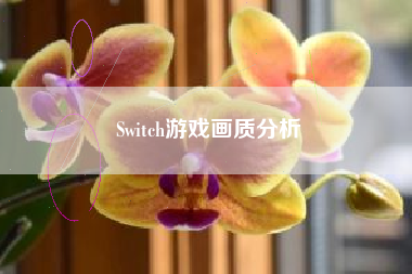 Switch游戏画质分析