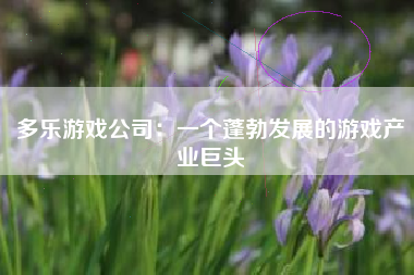 多乐游戏公司：一个蓬勃发展的游戏产业巨头