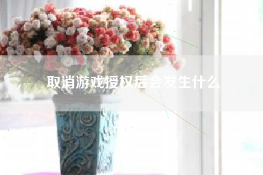 取消游戏授权后会发生什么