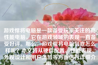 游戏悍将电脑是一款备受玩家关注的高性能电脑，它在游戏领域的表现一直备受好评。那么，游戏悍将电脑到底怎么样呢？本文将从硬件配置、性能表现、外观设计和用户体验等方面进行详细介绍。