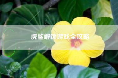 虎鲨解锁游戏全攻略