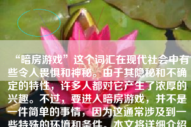 “暗房游戏”这个词汇在现代社会中有些令人畏惧和神秘。由于其隐秘和不确定的特性，许多人都对它产生了浓厚的兴趣。不过，要进入暗房游戏，并不是一件简单的事情，因为这通常涉及到一些特殊的环境和条件。本文将详细介绍如何进入暗房游戏，并解释其背后的含义和注意事项。