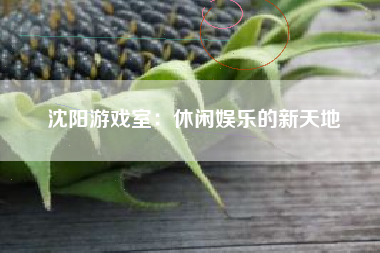 沈阳游戏室：休闲娱乐的新天地