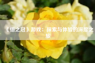 《悟之冠》游戏：探索与体验的深度之旅