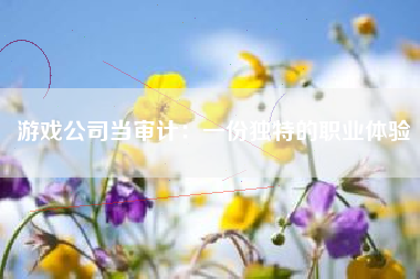 游戏公司当审计：一份独特的职业体验