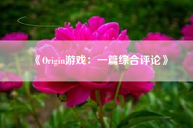 《Origin游戏：一篇综合评论》