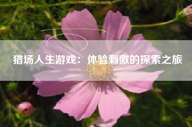 猎场人生游戏：体验刺激的探索之旅