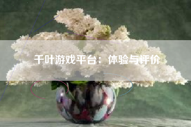 千叶游戏平台：体验与评价