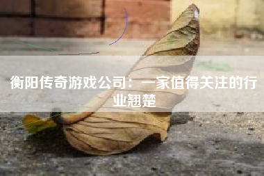 衡阳传奇游戏公司：一家值得关注的行业翘楚