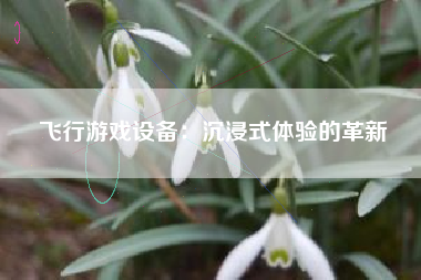 飞行游戏设备：沉浸式体验的革新