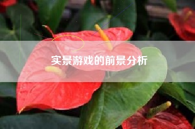 实景游戏的前景分析