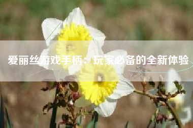 爱丽丝游戏手柄：玩家必备的全新体验