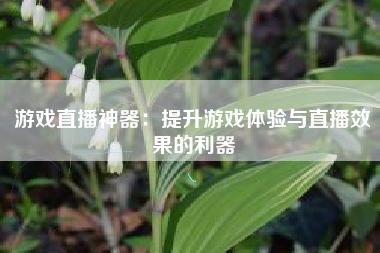 游戏直播神器：提升游戏体验与直播效果的利器