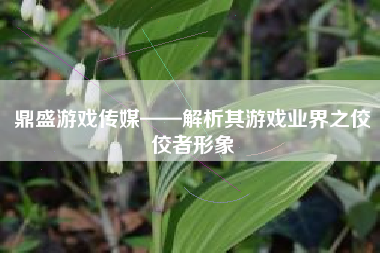 鼎盛游戏传媒——解析其游戏业界之佼佼者形象