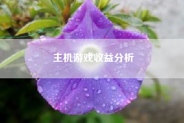 主机游戏收益分析