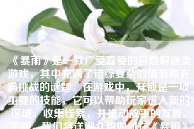 《暴雨》是一款广受喜爱的冒险解谜类游戏，其中充满了错综复杂的情节和充满挑战的谜题。在游戏中，开锁是一项重要的技能，它可以帮助玩家进入新的区域，收集线索，并推动故事的发展。下面，我们将详细介绍如何在《暴雨》中开锁。